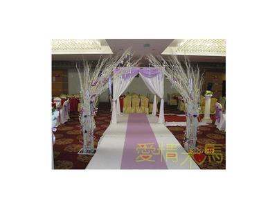 阜陽愛情木馬婚慶策劃 專業服務打造浪漫婚禮